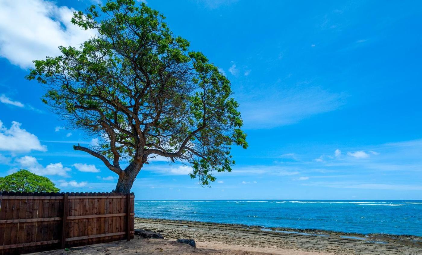 カパアKauai Kailani 218アパートメント エクステリア 写真